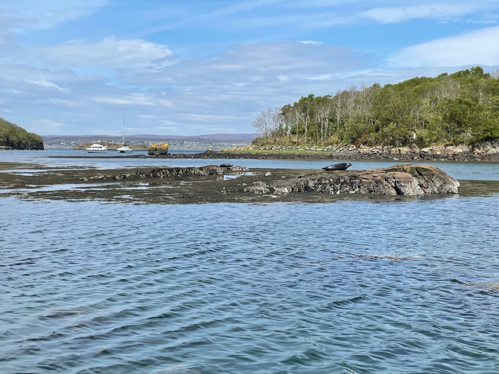 View of Sheildag from the boat